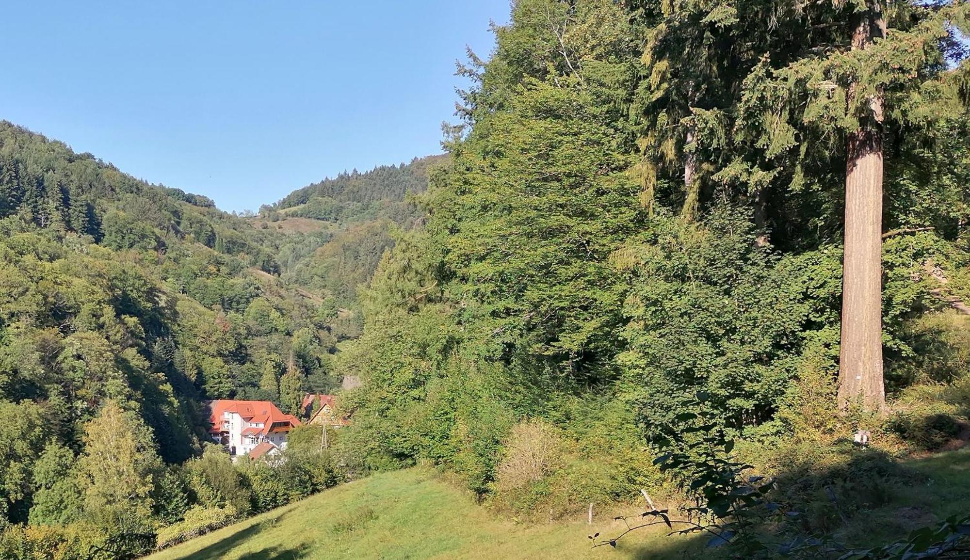 Huberhof Pfaffenbach Vila Gengenbach Exterior foto