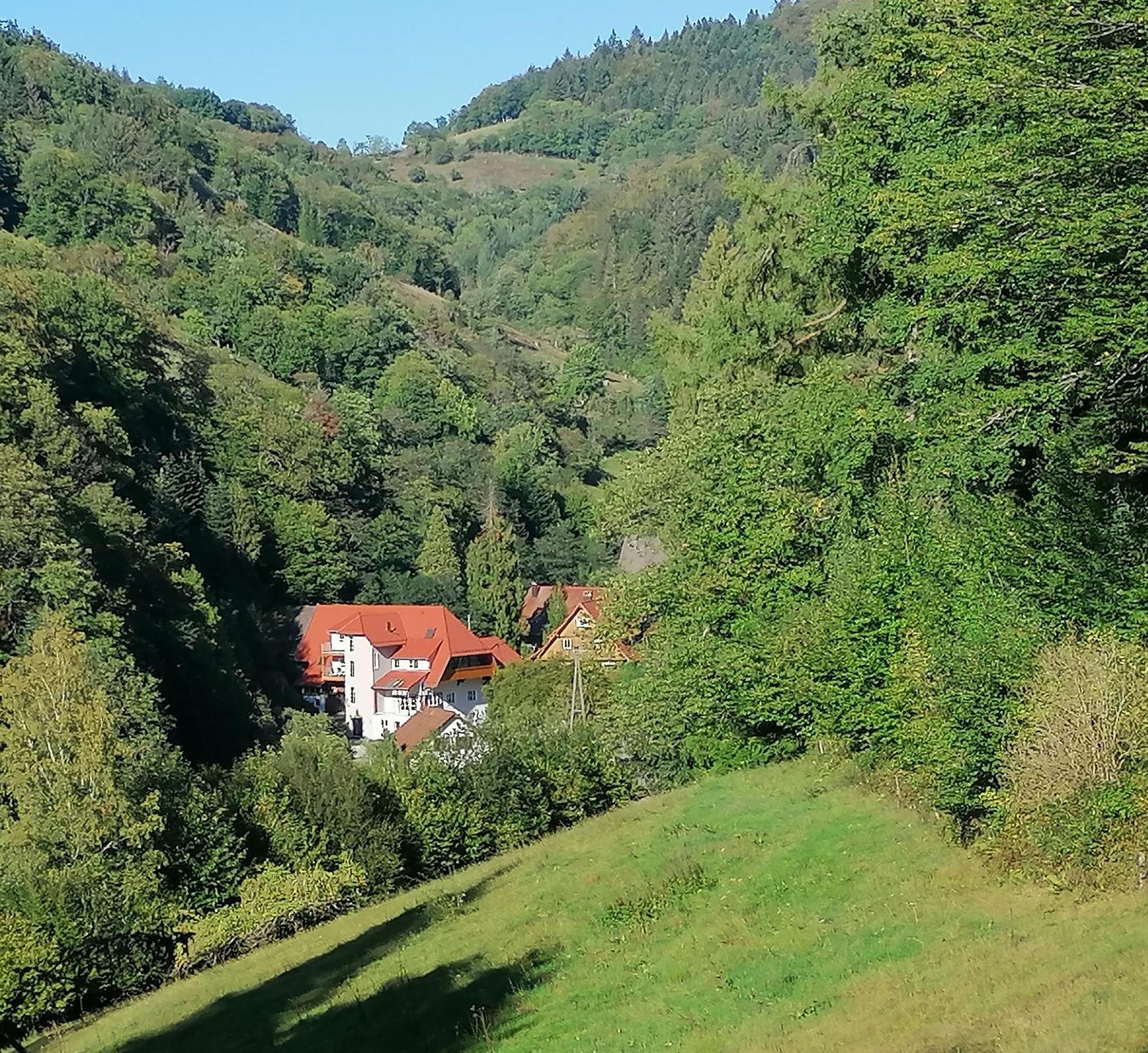 Huberhof Pfaffenbach Vila Gengenbach Exterior foto